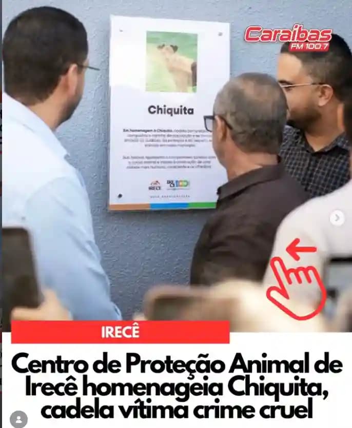 Irecê: Novo Centro de Proteção Animal homenageia cadela Chiquita, símbolo da causa animal na cidade