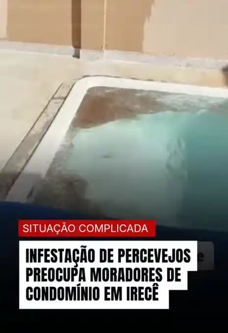 Moradores de condomínio em Irecê relatam infestação de percevejos e cobram providências
